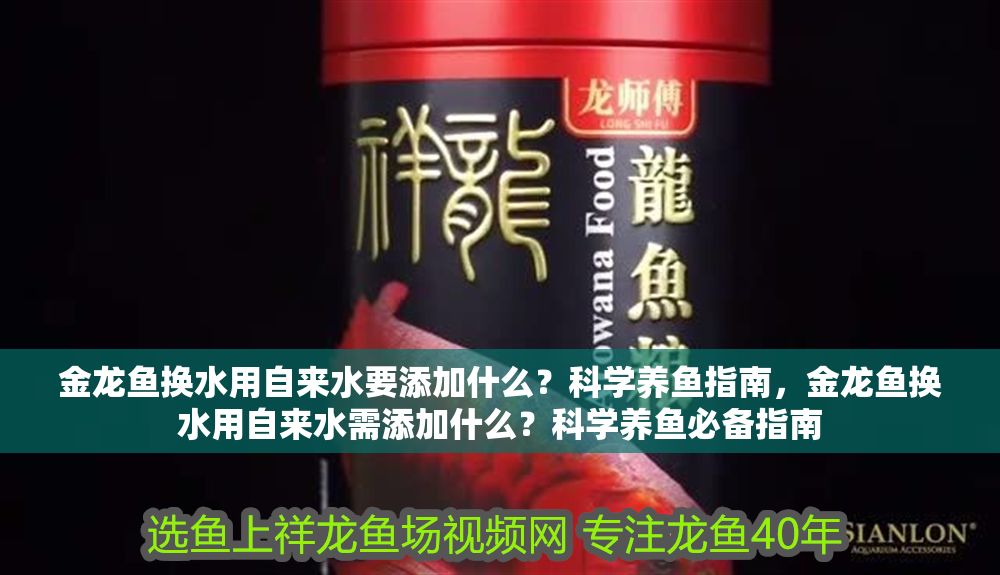 金龍魚換水用自來水要添加什么？科學養魚指南，金龍魚換水用自來水需添加什么？科學養魚必備指南