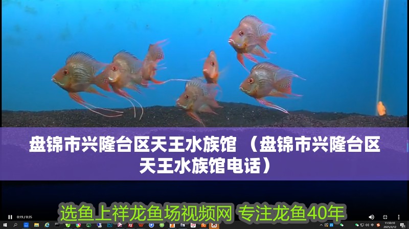 盤錦市興隆臺區天王水族館 （盤錦市興隆臺區天王水族館電話）