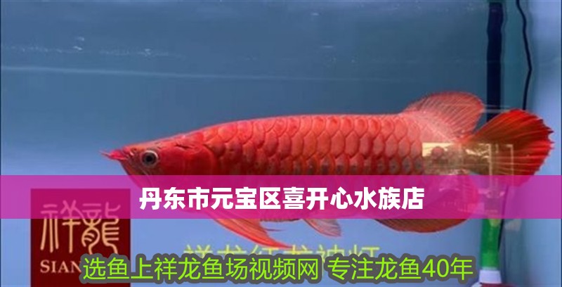 丹東市元寶區喜開心水族店 丹東市元寶區喜開心水族店 全國水族館企業名錄