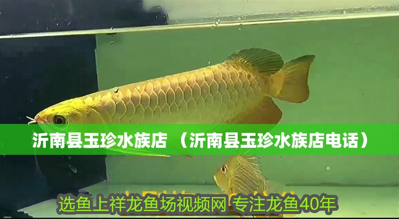 沂南縣玉珍水族店 （沂南縣玉珍水族店電話）