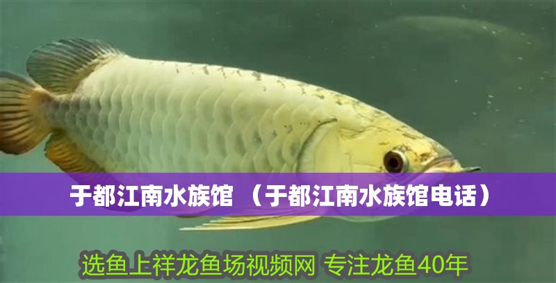 于都江南水族館 （于都江南水族館電話）