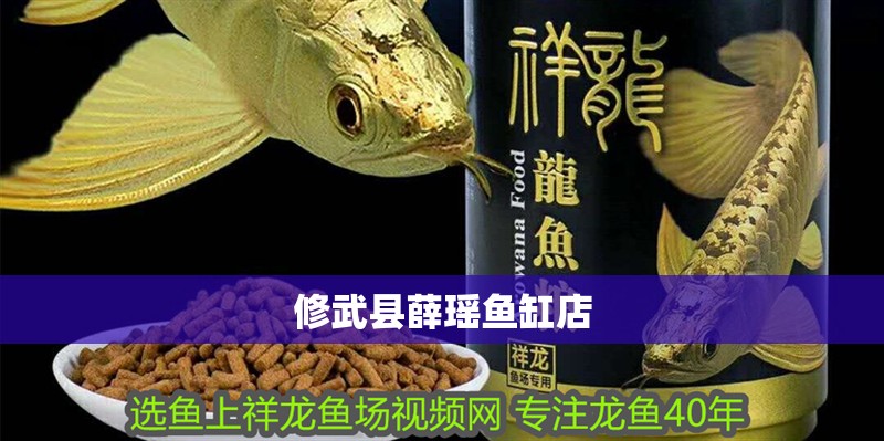修武縣薛瑤魚缸店