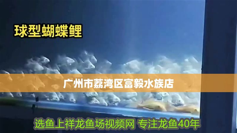 廣州市荔灣區(qū)富毅水族店