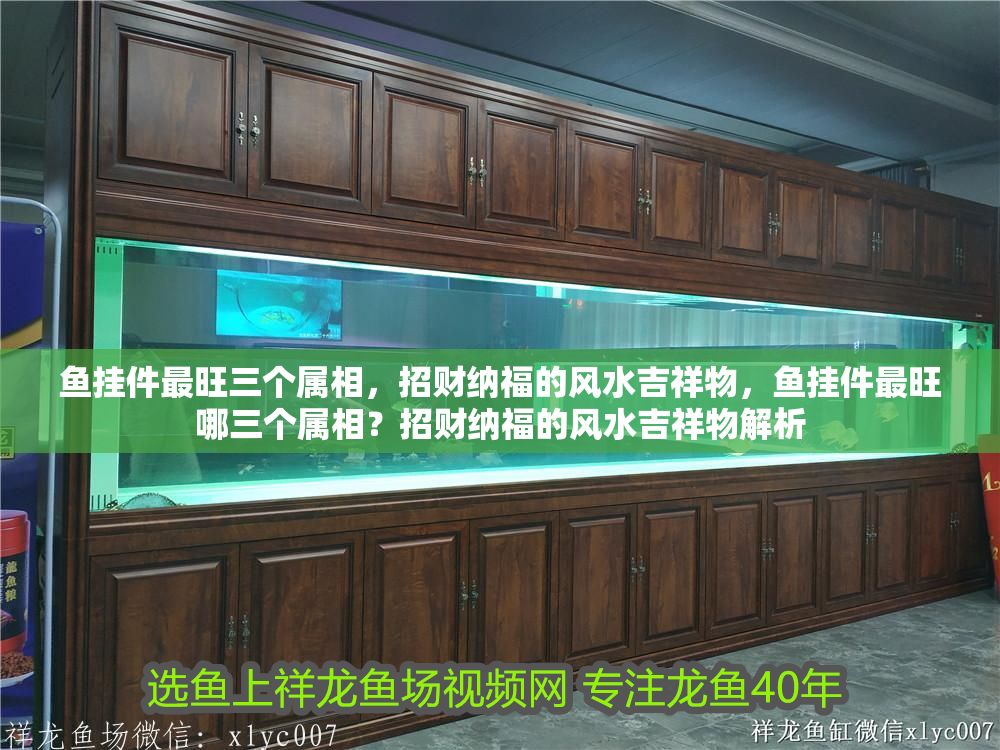 魚掛件最旺三個(gè)屬相，招財(cái)納福的風(fēng)水吉祥物，魚掛件最旺哪三個(gè)屬相？招財(cái)納福的風(fēng)水吉祥物解析