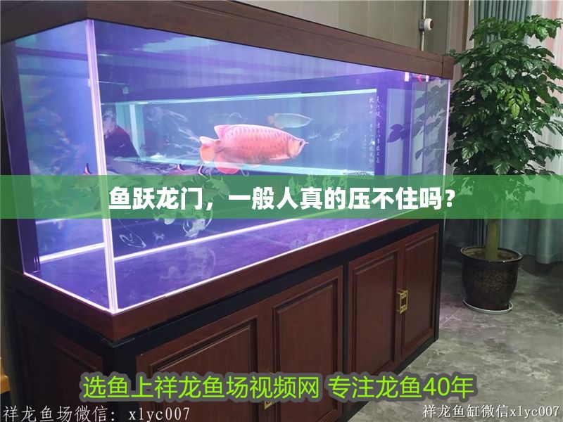 魚躍龍門，一般人真的壓不住嗎？