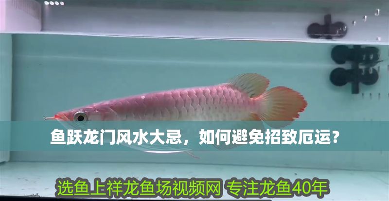 魚躍龍門風水大忌，如何避免招致厄運？