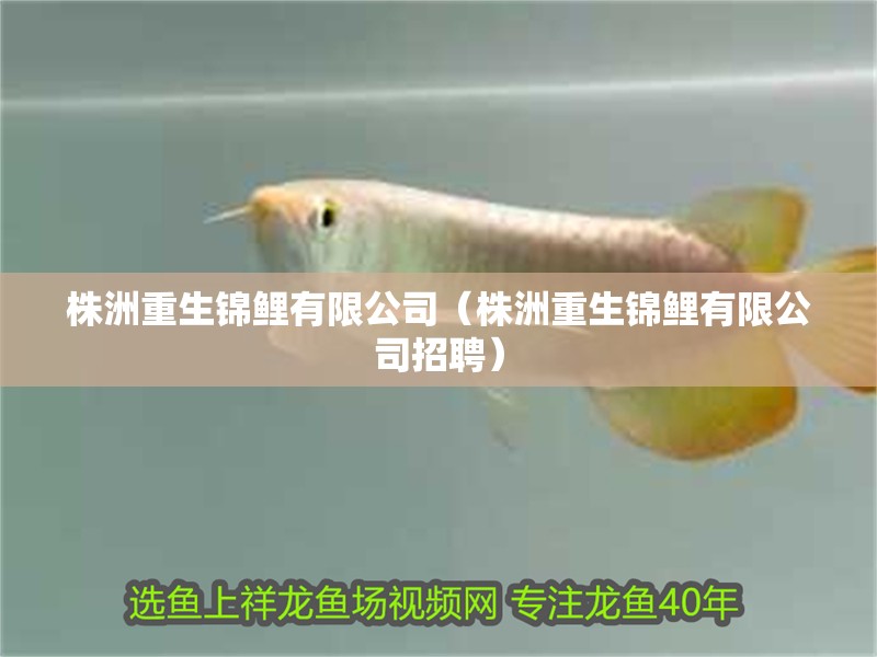 株洲重生錦鯉有限公司（株洲重生錦鯉有限公司招聘）