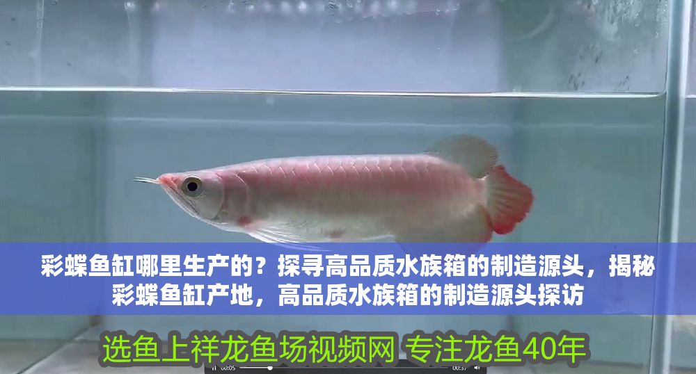 彩蝶魚缸哪里生產的？探尋高品質水族箱的制造源頭，揭秘彩蝶魚缸產地，高品質水族箱的制造源頭探訪