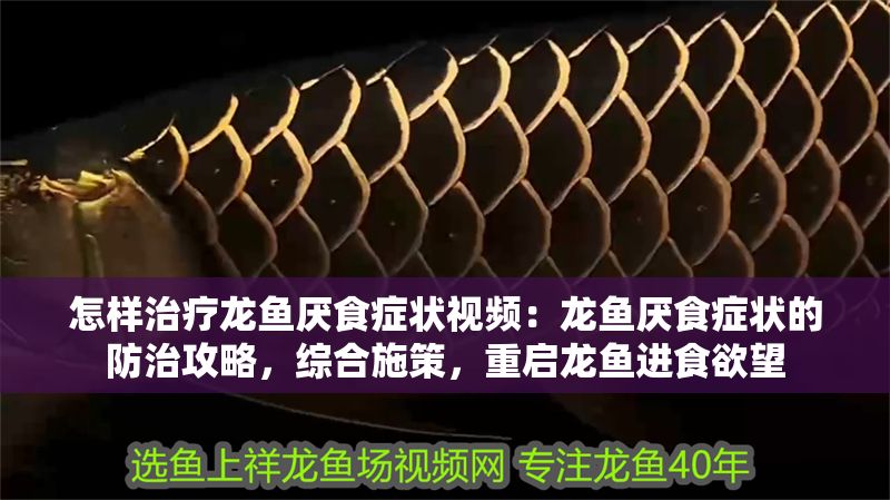 怎樣治療龍魚厭食癥狀視頻:龍魚厭食癥狀的防治攻略,綜合施策,重啟龍魚進(jìn)食欲望 龍魚百科 第1張 怎樣治療龍魚厭食癥狀視頻:龍魚厭食癥狀的防治攻略,綜合施策,重啟龍魚進(jìn)食欲望 怎樣治療龍魚厭食癥狀視頻:龍魚厭食癥狀的防治攻略,綜合施策,重啟龍魚進(jìn)食欲望 龍魚百科 第1張