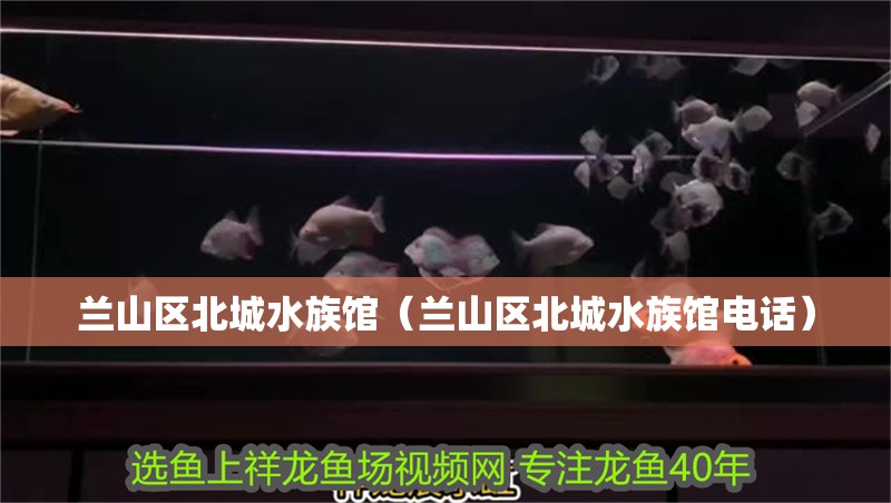 蘭山區(qū)北城水族館（蘭山區(qū)北城水族館電話）