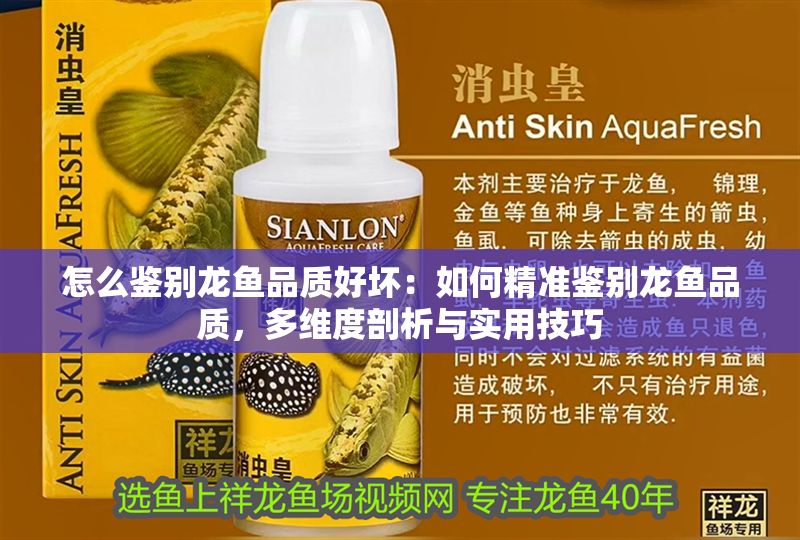 怎么鑒別龍魚品質(zhì)好壞：如何精準鑒別龍魚品質(zhì)，多維度剖析與實用技巧