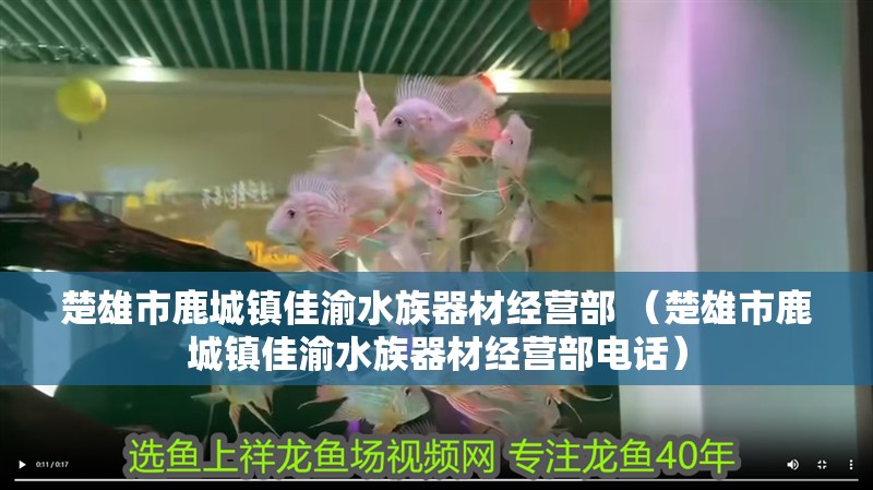 楚雄市鹿城鎮佳渝水族器材經營部 （楚雄市鹿城鎮佳渝水族器材經營部電話） 楚雄市鹿城鎮佳渝水族器材經營部 （楚雄市鹿城鎮佳渝水族器材經營部電話） 全國水族館企業名錄