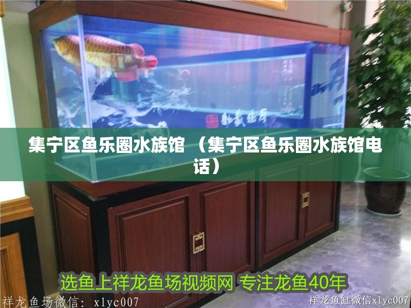 集寧區(qū)魚樂圈水族館 （集寧區(qū)魚樂圈水族館電話）