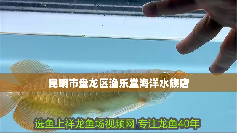 昆明市盤龍區漁樂堂海洋水族店 昆明市盤龍區漁樂堂海洋水族店 全國水族館企業名錄