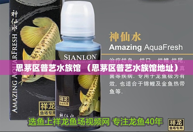 <strong><mark>思茅</mark></strong>區普藝水族館 （<strong><mark>思茅</mark></strong>區普藝水族館地址）