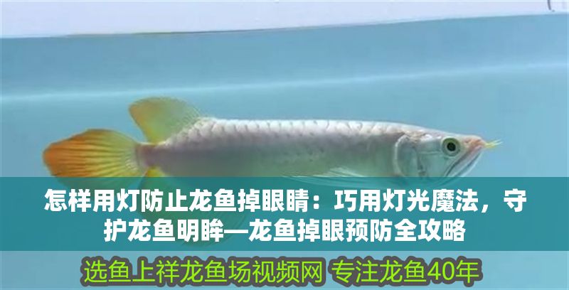 怎樣用燈防止龍魚掉眼睛：巧用燈光魔法，守護龍魚明眸—龍魚掉眼預防全攻略