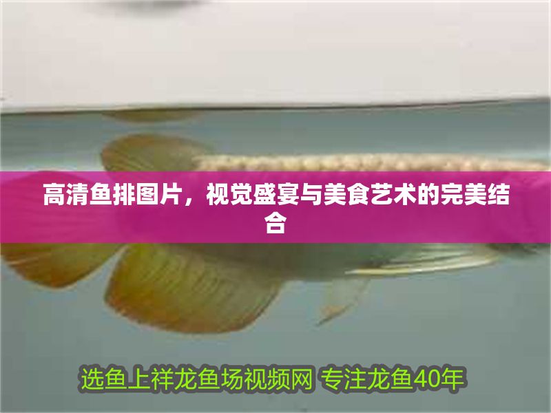 高清魚排圖片，視覺盛宴與美食藝術的完美結合 高清魚排圖片，視覺盛宴與美食藝術的完美結合 龍魚百科 第1張