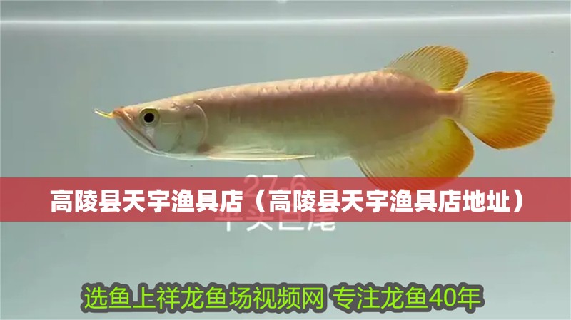 高陵縣天宇漁具店（高陵縣天宇漁具店地址）