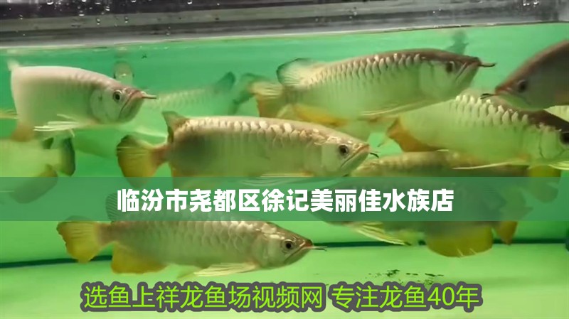 臨汾市堯都區(qū)徐記美麗佳水族店