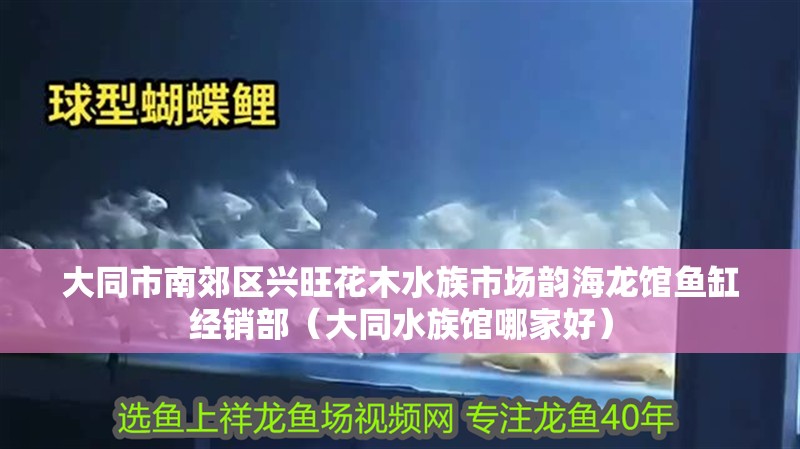 大同市南郊區興旺花木水族市場韻海龍館魚缸經銷部（大同水族館哪家好）