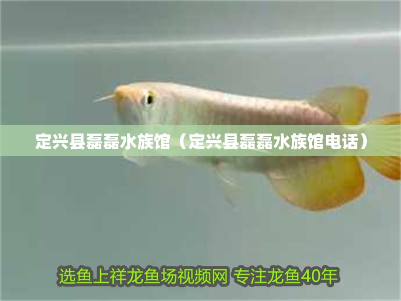 定興縣磊磊水族館（定興縣磊磊水族館電話） 定興縣磊磊水族館（定興縣磊磊水族館電話） 全國水族館企業名錄