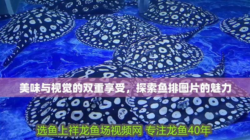美味與視覺的雙重享受，探索魚排圖片的魅力