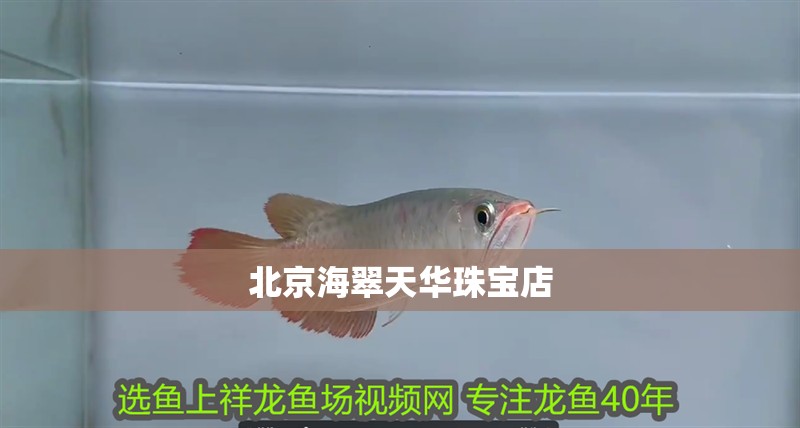 北京海翠天華珠寶店 北京海翠天華珠寶店 全國水族館企業名錄