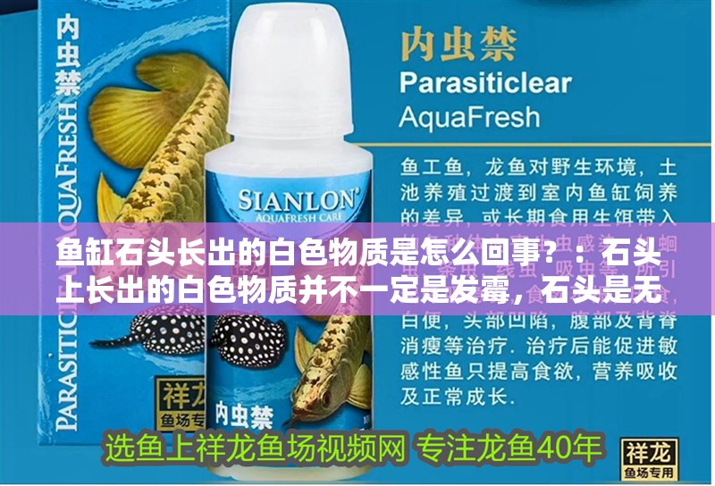 魚(yú)缸石頭長(zhǎng)出的白色物質(zhì)是怎么回事？：石頭上長(zhǎng)出的白色物質(zhì)并不一定是發(fā)霉，石頭是無(wú)機(jī)物質(zhì) 魚(yú)缸石頭長(zhǎng)出的白色物質(zhì)是怎么回事？：石頭上長(zhǎng)出的白色物質(zhì)并不一定是發(fā)霉，石頭是無(wú)機(jī)物質(zhì) 魚(yú)缸百科
