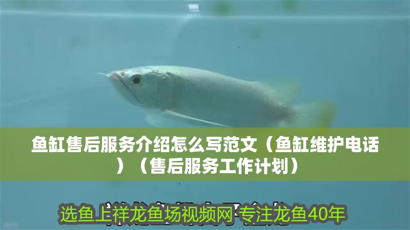 魚缸售后服務(wù)介紹怎么寫范文（魚缸維護(hù)電話）（售后服務(wù)工作計(jì)劃）
