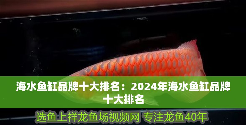 海水魚缸品牌十大排名：2024年海水魚缸品牌十大排名