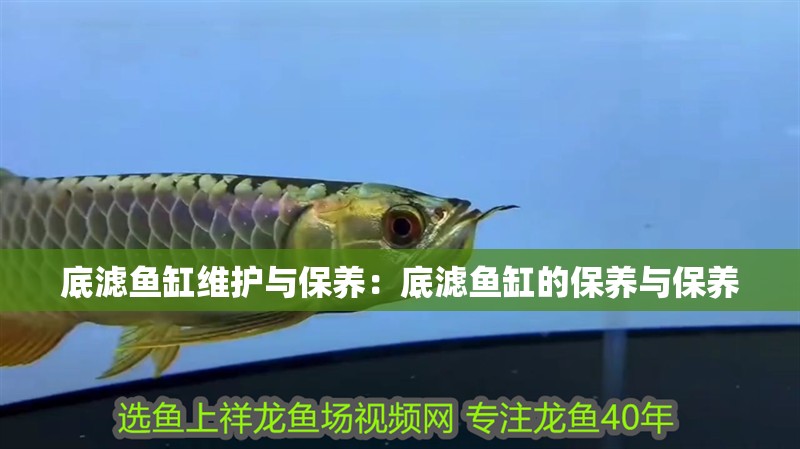 底濾魚缸維護(hù)與保養(yǎng)：底濾魚缸的保養(yǎng)與保養(yǎng) 底濾魚缸維護(hù)與保養(yǎng)：底濾魚缸的保養(yǎng)與保養(yǎng) 魚缸百科