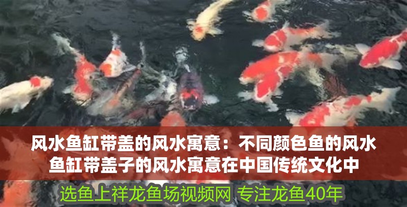 風水魚缸帶蓋的風水寓意：不同顏色魚的風水魚缸帶蓋子的風水寓意在中國傳統文化中 風水魚缸帶蓋的風水寓意：不同顏色魚的風水魚缸帶蓋子的風水寓意在中國傳統文化中 魚缸百科