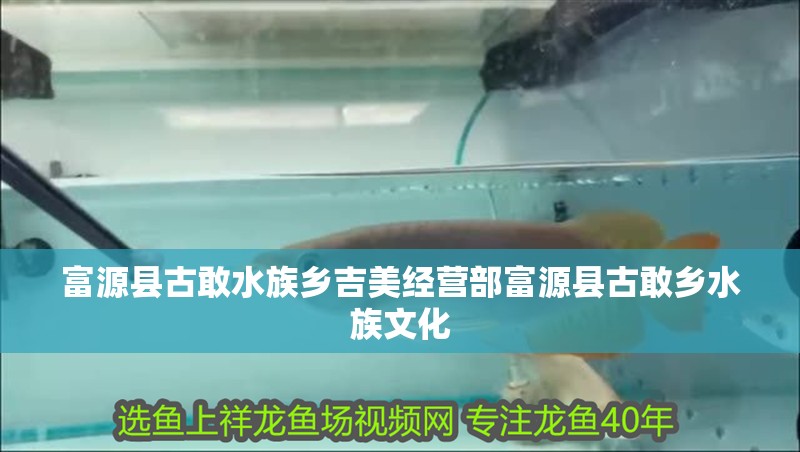 富源縣古敢水族鄉(xiāng)吉美經(jīng)營部富源縣古敢鄉(xiāng)水族文化 富源縣古敢水族鄉(xiāng)吉美經(jīng)營部富源縣古敢鄉(xiāng)水族文化 全國水族館企業(yè)名錄