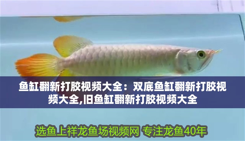 魚缸翻新打膠視頻大全：雙底魚缸翻新打膠視頻大全,舊魚缸翻新打膠視頻大全