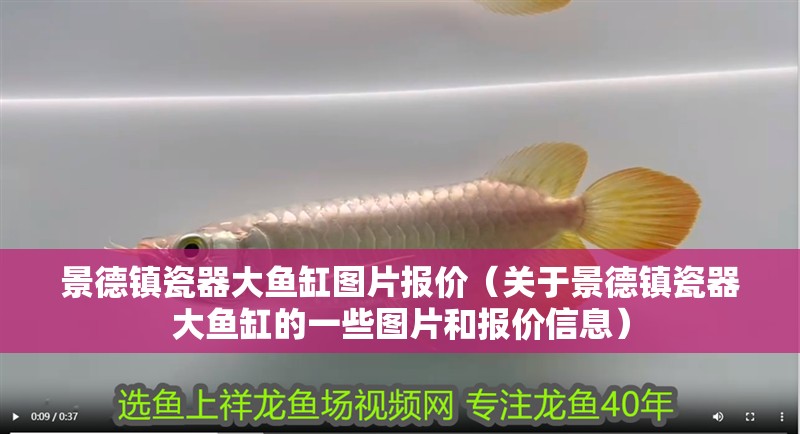 景德鎮瓷器大魚缸圖片報價（關于景德鎮瓷器大魚缸的一些圖片和報價信息）