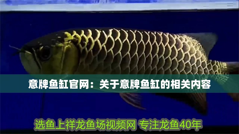 意牌魚缸官網(wǎng)：關(guān)于意牌魚缸的相關(guān)內(nèi)容
