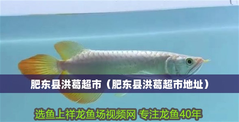 肥東縣洪葛超市（肥東縣洪葛超市地址）