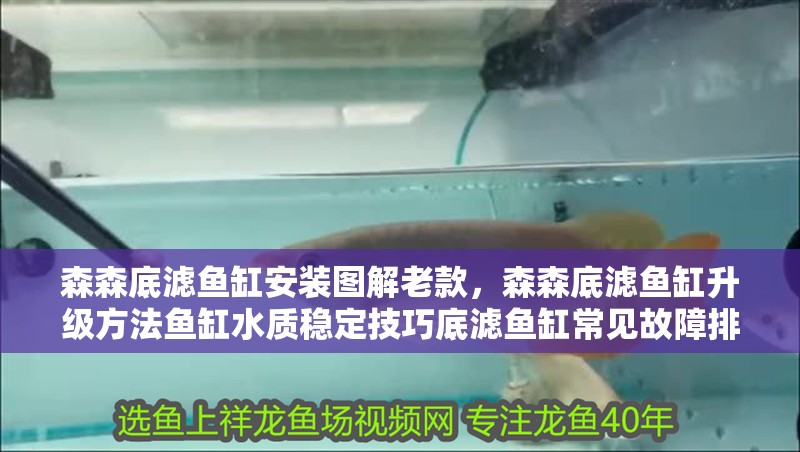 森森底濾魚缸安裝圖解老款，森森底濾魚缸升級方法魚缸水質穩定技巧底濾魚缸常見故障排查