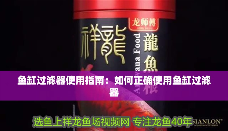 魚缸過濾器使用指南：如何正確使用魚缸過濾器