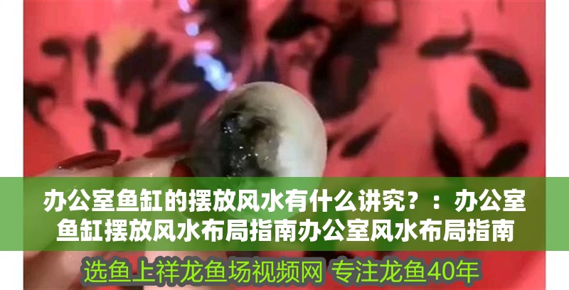 辦公室魚缸的擺放風水有什么講究？：辦公室魚缸擺放風水布局指南辦公室風水布局指南