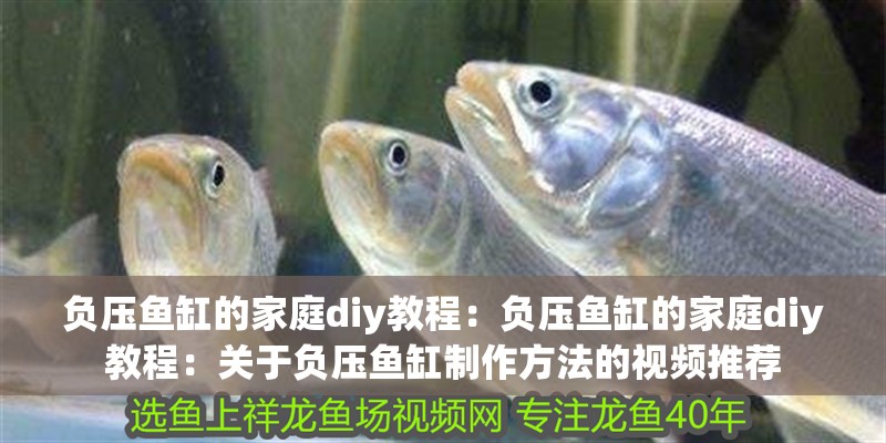 負(fù)壓魚缸的家庭diy教程：負(fù)壓魚缸的家庭diy教程：關(guān)于負(fù)壓魚缸制作方法的視頻推薦
