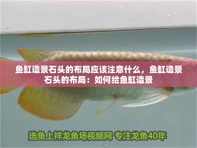 魚缸造景石頭的布局應(yīng)該注意什么，魚缸造景石頭的布局：如何給魚缸造景 魚缸造景石頭的布局應(yīng)該注意什么，魚缸造景石頭的布局：如何給魚缸造景 魚缸百科