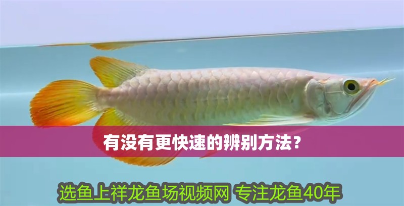 有沒有更快速的辨別方法？