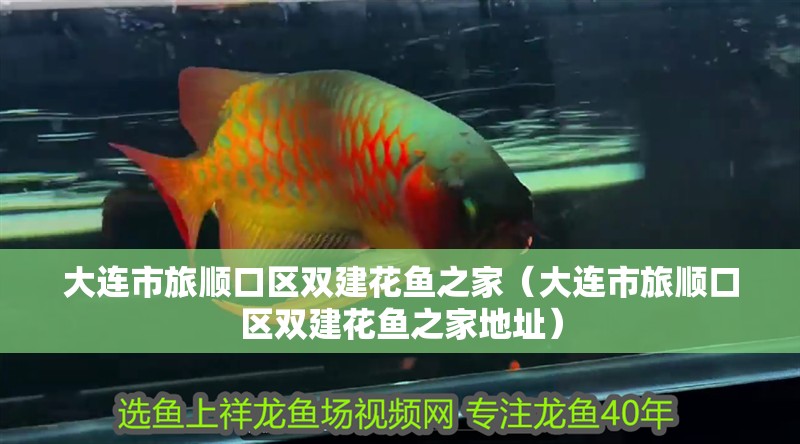 大連市旅順口區雙建花魚之家（大連市旅順口區雙建花魚之家地址）
