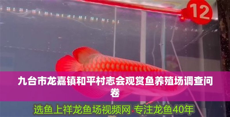 九臺(tái)市龍嘉鎮(zhèn)和平村志會(huì)觀賞魚(yú)養(yǎng)殖場(chǎng)調(diào)查問(wèn)卷