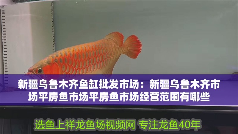 新疆烏魯木齊魚缸批發(fā)市場：新疆烏魯木齊市場<strong><mark>平房</mark></strong>魚市場<strong><mark>平房</mark></strong>魚市場經(jīng)營范圍有哪些