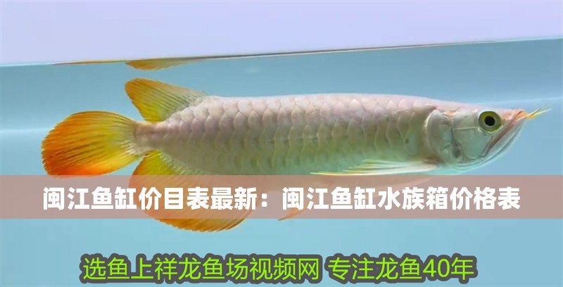 閩江魚(yú)缸價(jià)目表最新：閩江魚(yú)缸水族箱價(jià)格表