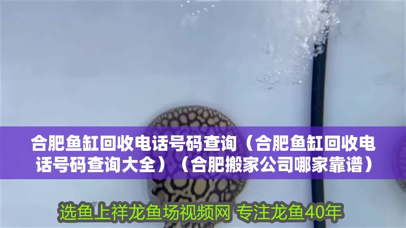 合肥魚缸回收電話號碼查詢（合肥魚缸回收電話號碼查詢大全）（合肥搬家公司哪家靠譜）