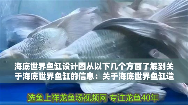 魚缸過濾器選購指南:自制魚缸過濾器魚缸上置過濾器對于養(yǎng)魚愛好者的必備知識 海底世界魚缸設(shè)計圖從以下幾個方面了解到關(guān)于海底世界魚缸的信息:關(guān)于海底世界魚缸造景的一些建議 魚缸百科 海底世界魚缸設(shè)計圖從以下幾個方面了解到關(guān)于海底世界魚缸的信息:關(guān)于海底世界魚缸造景的一些建議 海底世界魚缸設(shè)計圖從以下幾個方面了解到關(guān)于海底世界魚缸的信息:關(guān)于海底世界魚缸造景的一些建議 魚缸百科