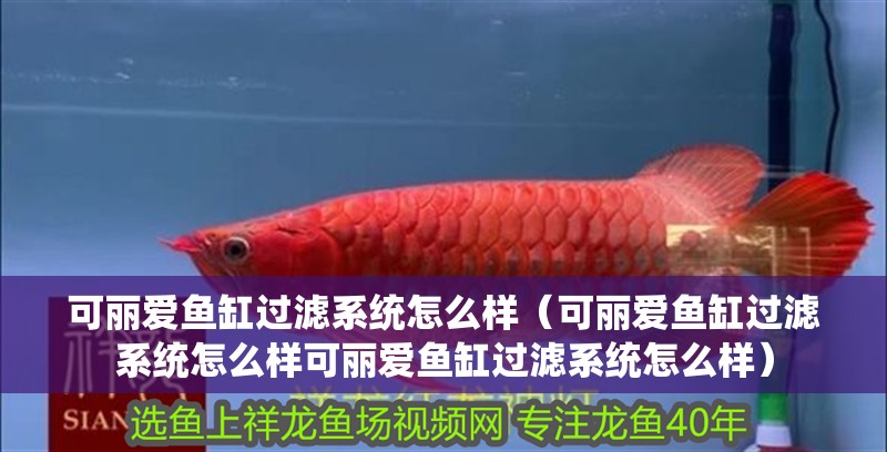 可麗愛魚缸過濾系統(tǒng)怎么樣（可麗愛魚缸過濾系統(tǒng)怎么樣可麗愛魚缸過濾系統(tǒng)怎么樣）